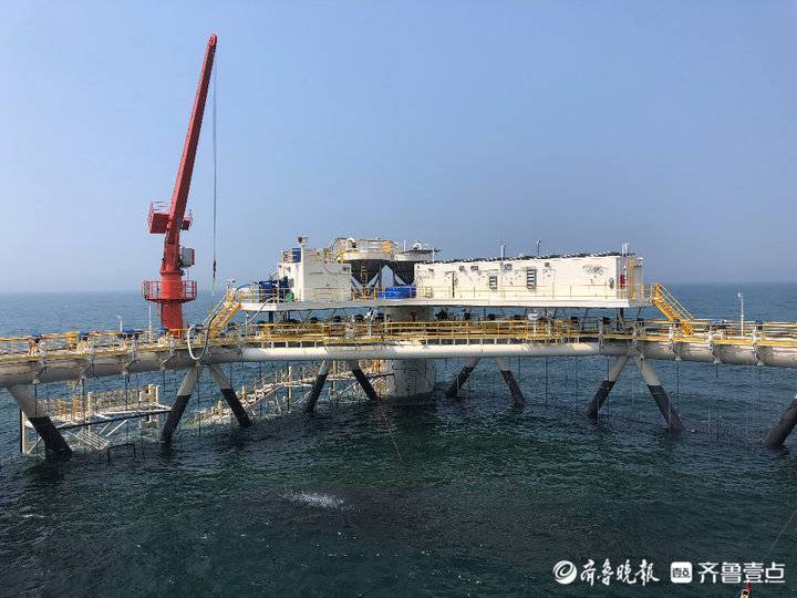 挺進深海，唱響“經海”牧歌！煙臺開啟向海圖強新征程